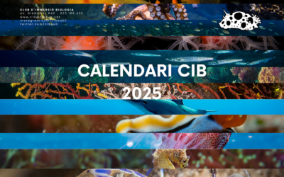 CALENDARI CIB 2025
