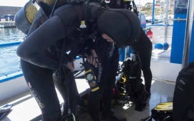 CURS DE SUBMARINSIME OPEN WATER DIVER