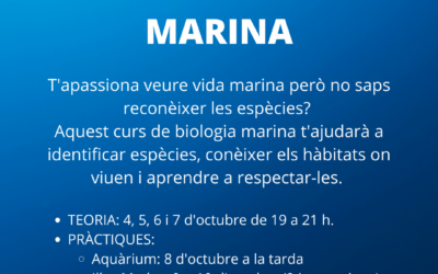VOLS SABER QUINS SÓN ELS PROPERS CURSOS DEL CIB?