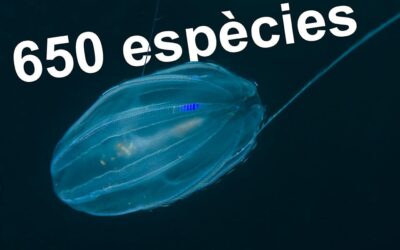 La guia del CIB assoleix les 650 espècies
