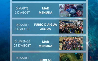 COL·LECTIVES AGOST