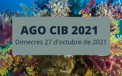 AGO CIB 2021