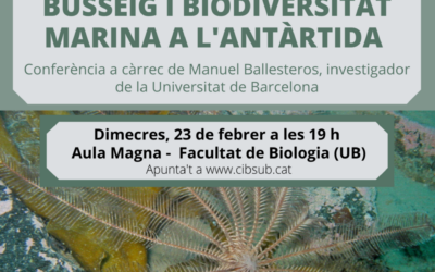 BUSSEIG I BIODIVERSITAT A L’ANTÀRTIDA
