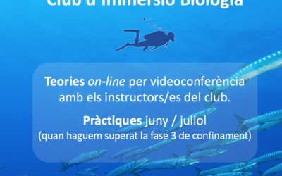 10 DE JUNY: COMENCEM CURSOS OPEN WATER 2020