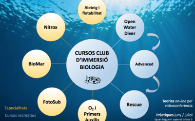 RESUM CURSOS CLUB D’IMMERSIÓ BIOLOGIA