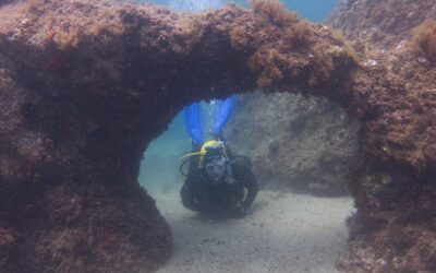 PROPERA COL·LECTIVA: ULLASTRES III (PALAMÓS)