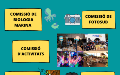 COMISSIONS CIB