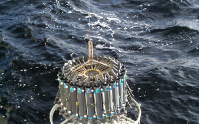 Fertilitzar l’oceà amb ferro