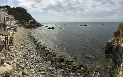 COL·LECTIVA A LA MAR MENUDA – CANVI DE LLOC