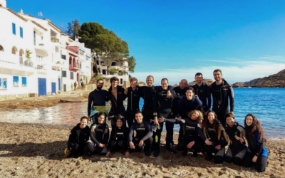 CURSOS OPEN WATER DIVER