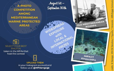 Concurs fotografia MPA – Engage