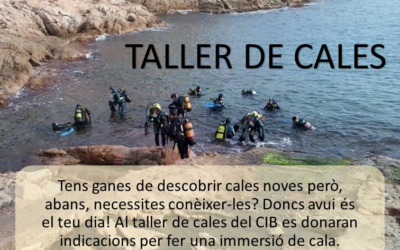 TALLER DE CALES
