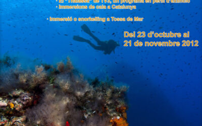 Jornades/taller del Mar, del 23 d’octubre al 21 de novemebre