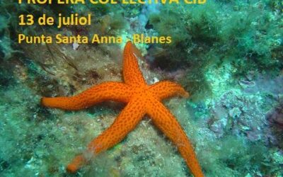 SORTIDA DE SUBMBARINISME CLUB