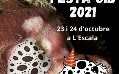 FESTA CIB 2021