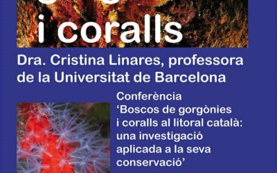 GORGÒNIES I CORALLS