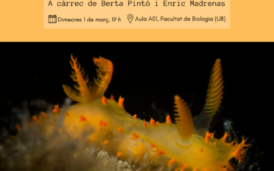 NUDIBRANQUIS