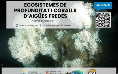 ECOSISTEMES DE PROFUNDITAT I CORALLS D’AIGÜES FREDES