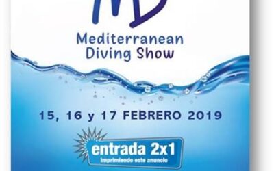 SALO DE LA IMMERSIÓ 2019