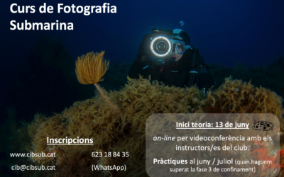 CURSOS CIB –  FOTOSUB