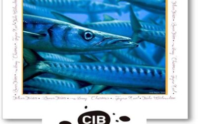 Ja és NADAL al CIB