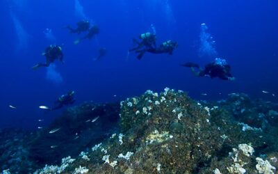 Concienciar els bussejadors redueix l’impacte ambiental