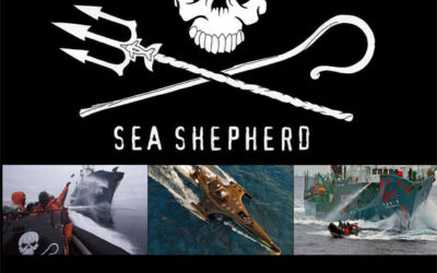 Sea Shepherd, ecologisme actiu en defensa del mar