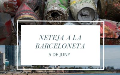 Neteja a l’Espigó del Gas