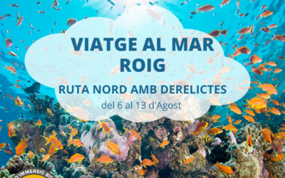 MAR ROIG