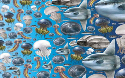 Les meduses substituiran els peixos, diu la FAO