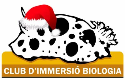 BON NADAL I FELIÇ ANY NOU 2018