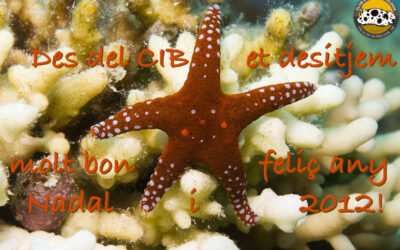 Bon Nadal i feliç any nou!