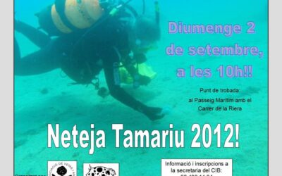 Neteja a Tamariu