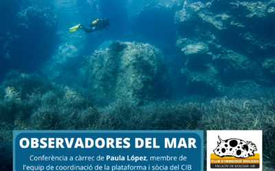OBSERVADORS DEL MAR