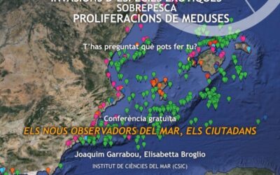 ELS NOUS OBSERVADORS DEL MAR, ELS CIUTADANS