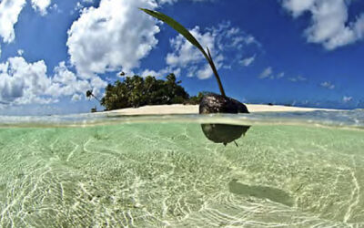 Underwater Photography nº56, a descàrrega