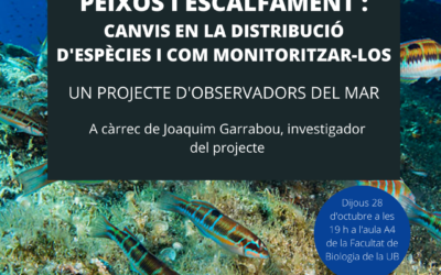PEIXOS I ESCALFAMENT