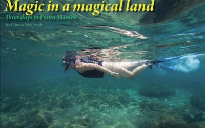 African Diver, una altra revista virtual