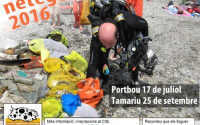 Neteges 2016