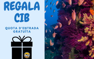 REGALA CIB