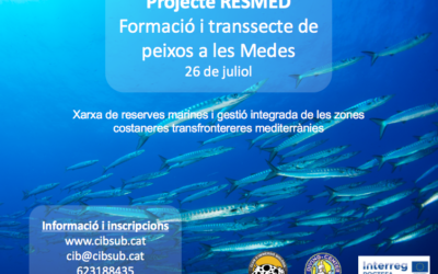 PROJECTE RESMED