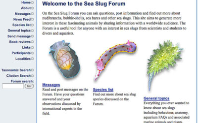 El Sea Slug Forum amenaça amb el tancament