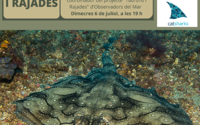 TAURONS I RAJADES