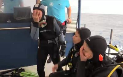 El Thalassa del CIB ja és on-line