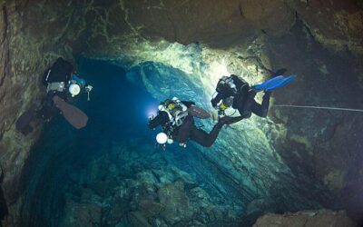 Una nova espècie de cranc a les coves submarines de Lanzarote