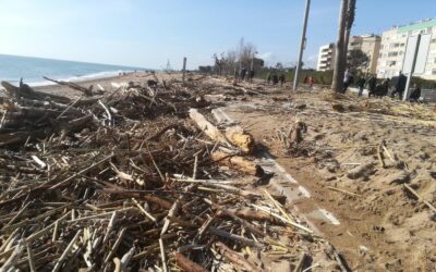 NETEJA DE PLATJA PEL TEMPORAL GLORIA