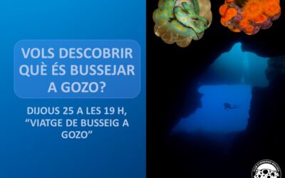 VIATGE DE BUSSEIG A GOZO