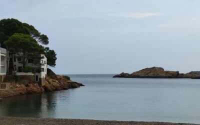 OPEN WATER DIVER 255