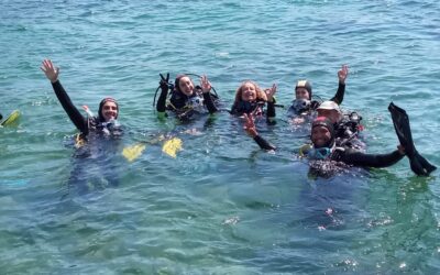 OPEN WATER DIVER 259