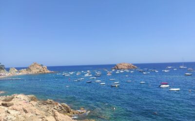 TOSSA
